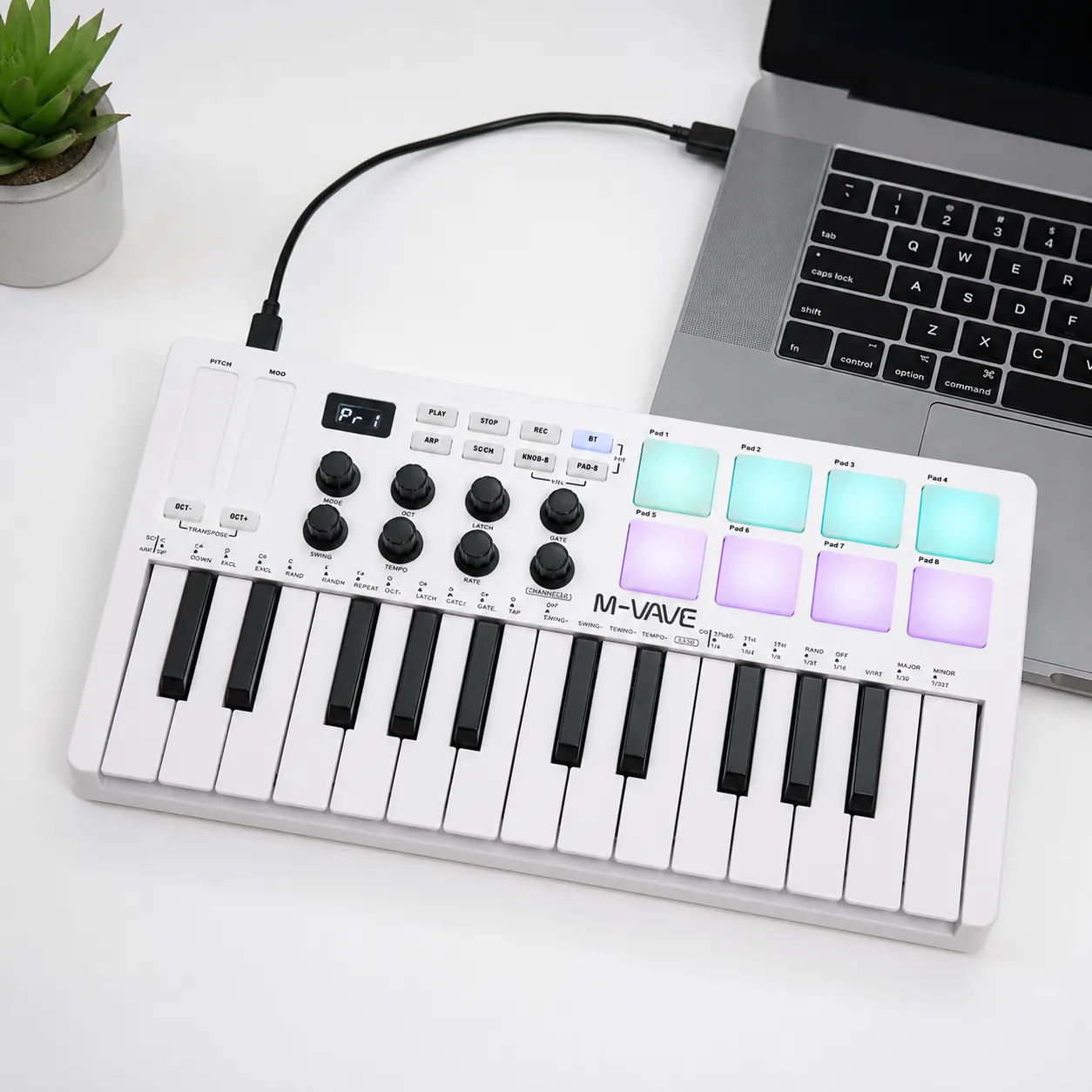 25 Key MIDI Keyboard Controller in use